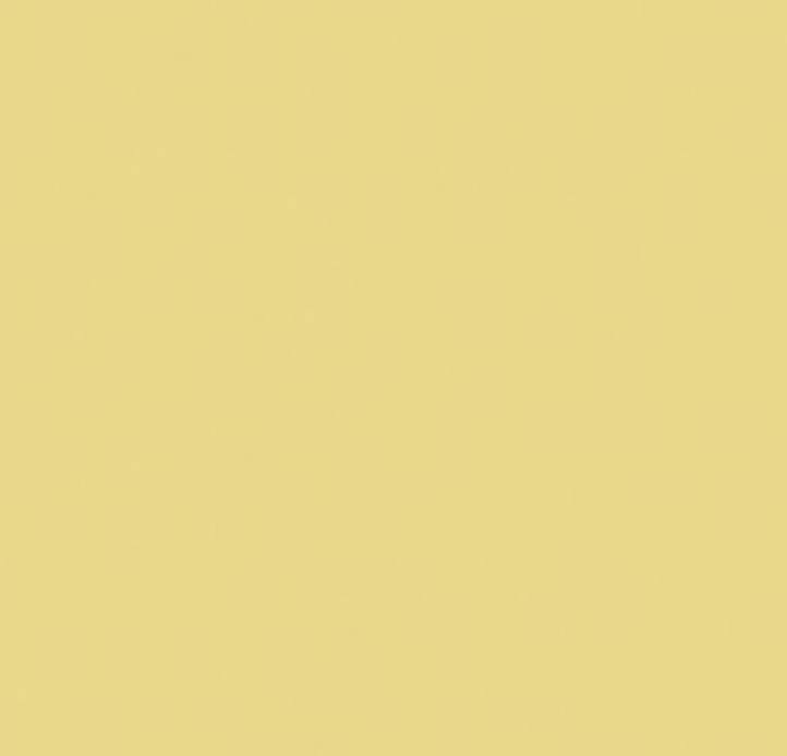 Tecnika Amarillo Natural