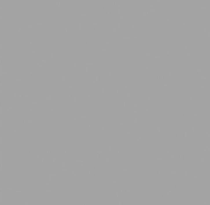 Tecnika Gris 60X120 Esp 14 Natural